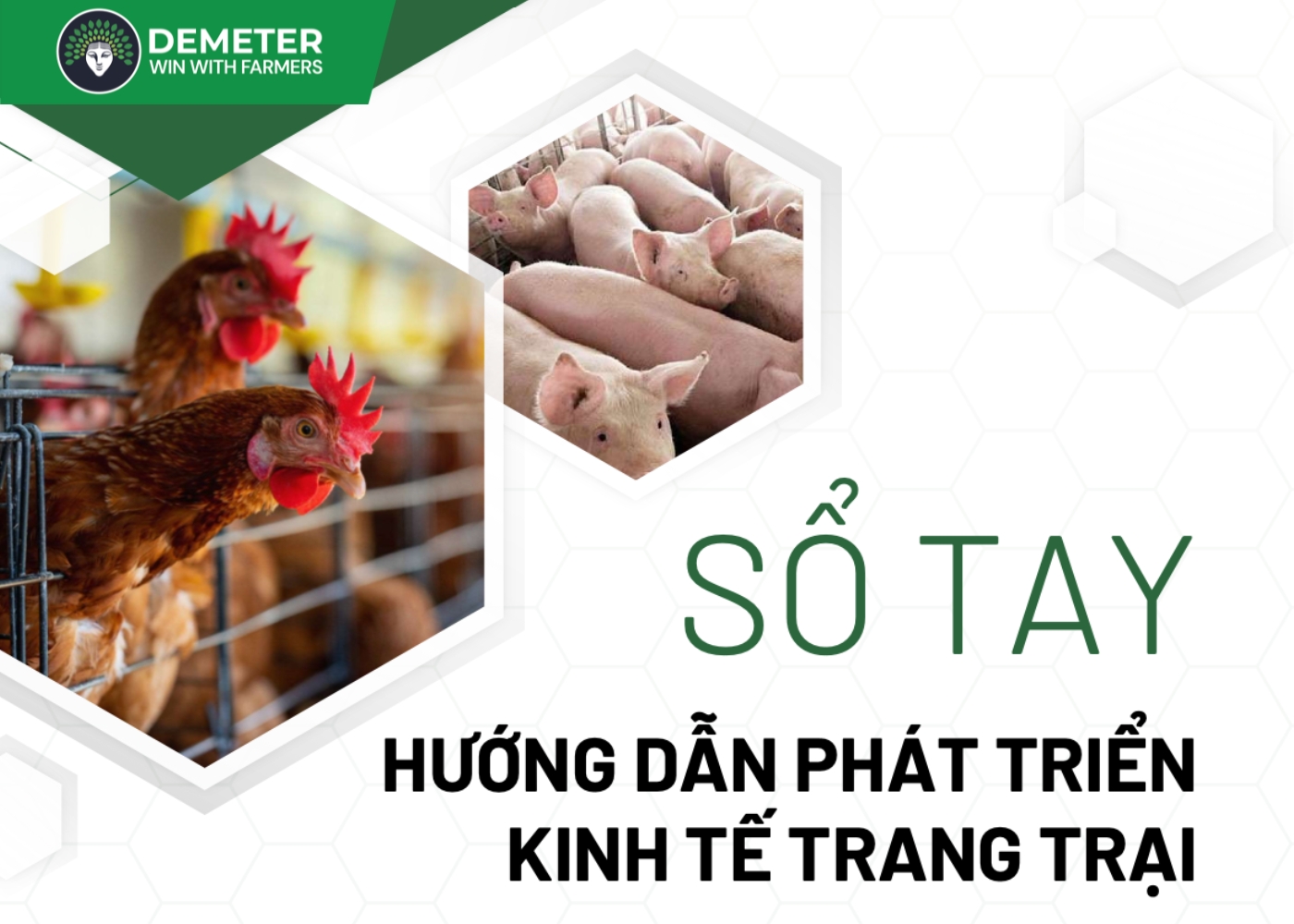 Anh dai dien tin tuc